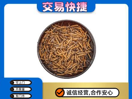 清远阳山县高价回收散虫草